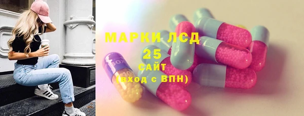 индика Белоозёрский