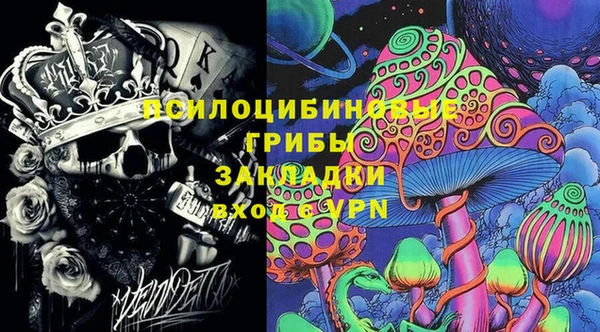 твердый Белокуриха