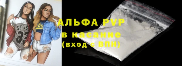 индика Белоозёрский