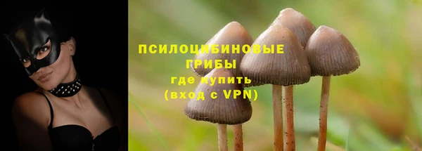 спайс Беломорск