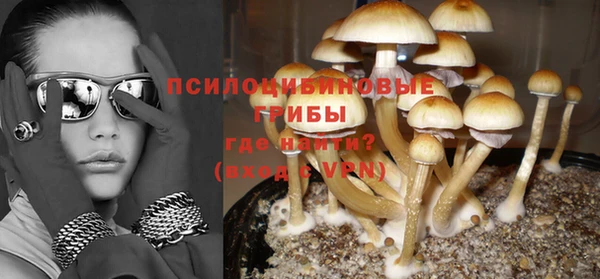твердый Белокуриха