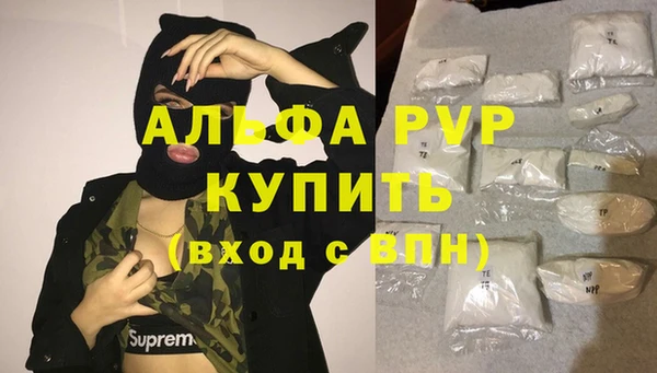 спайс Беломорск