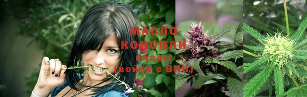 крисы Ступино