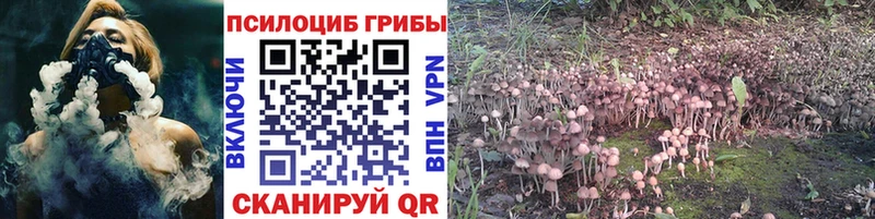 нарко площадка Telegram  купить  сайты  Жуковка  Галлюциногенные грибы прущие грибы  МЕГА маркетплейс 